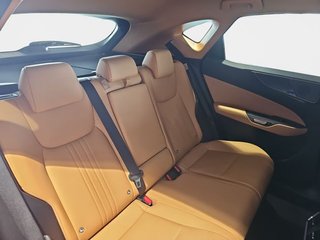 Lexus NX 350h Executive 2WD