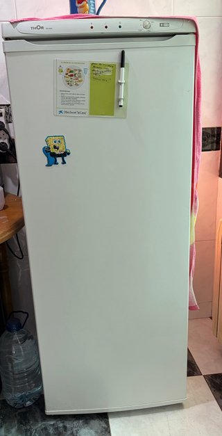 Congelador vertical THOR FUNCIONA PERFECTAMENTE