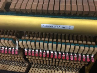 Piano Yamaha U3 con transporte y garantía 15 años