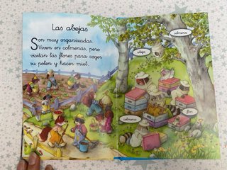 Lote de Cuentos para empezar a leer