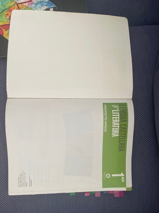 Lengua castellana y literatura 1 bachillerato.