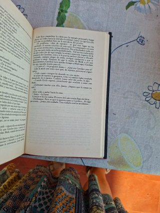 Libro Un grito en la noche - Mary Higgins Clark