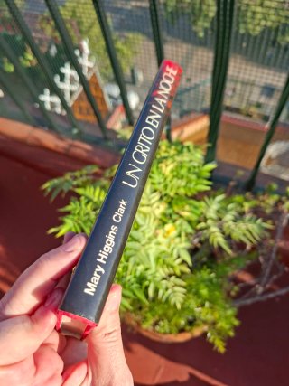 Libro Un grito en la noche - Mary Higgins Clark