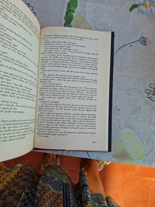 Libro Un grito en la noche - Mary Higgins Clark