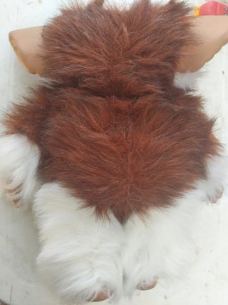 Muñeco Gizmo Gremlin Peluche Original