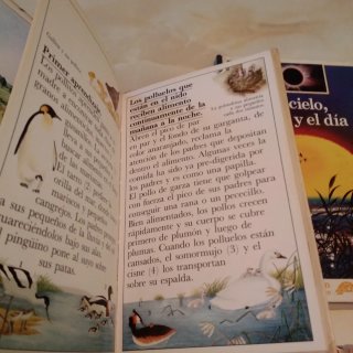 Lote 4 libros para ñiños desde los 6 años.