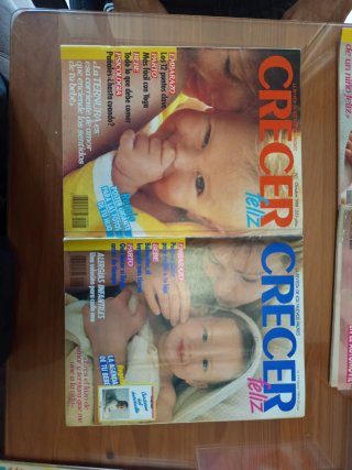 Lote revistas antiguas paternidad - Crecer Feliz