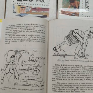Lote de 33 comic el conejo verde nuevos