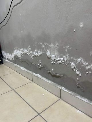 manitas