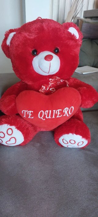 Oso de Peluche Rojo con Corazón Te Quiero