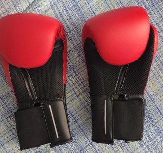 Conjunto Protección Buddha y Venum
