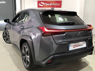 Lexus UX 250h Luxury 135 kW (184 CV)