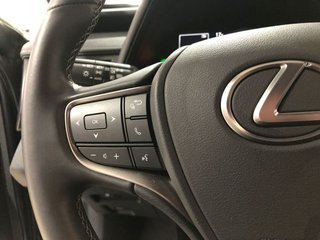 Lexus UX 250h Luxury 135 kW (184 CV)