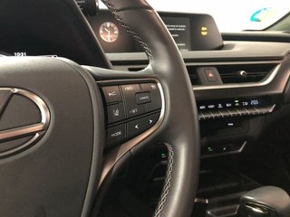 Lexus UX 250h Luxury 135 kW (184 CV)