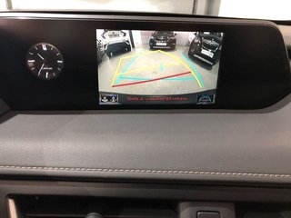 Lexus UX 250h Luxury 135 kW (184 CV)