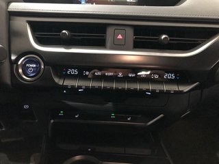 Lexus UX 250h Luxury 135 kW (184 CV)