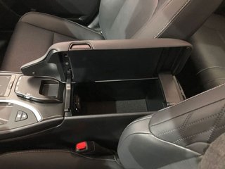 Lexus UX 250h Luxury 135 kW (184 CV)