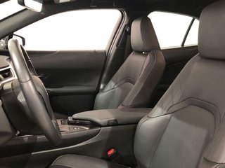Lexus UX 250h Luxury 135 kW (184 CV)
