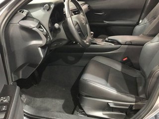 Lexus UX 250h Luxury 135 kW (184 CV)