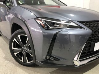 Lexus UX 250h Luxury 135 kW (184 CV)