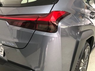 Lexus UX 250h Luxury 135 kW (184 CV)