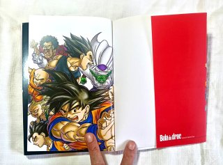 Bola de drac edició definitiva