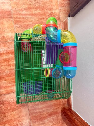Jaula para hámster con accesorios