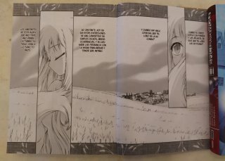 Spice and Wolf (N°1 y N°2)