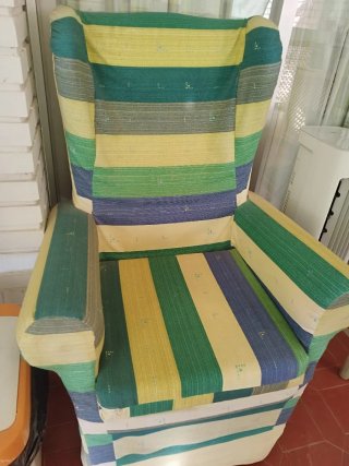 2 Sillónes orejeros estampados por 50.