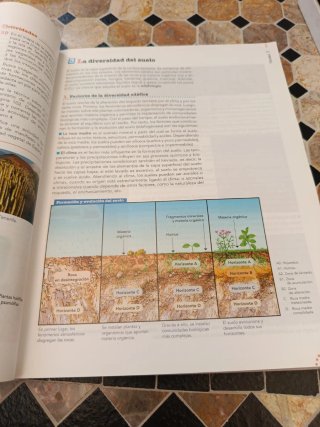 Geografía, 2 Bachillerato