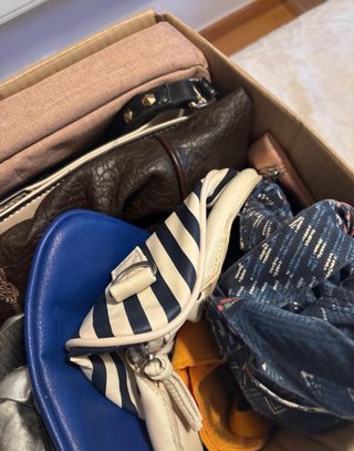 Lote sorpresa bolsos variados