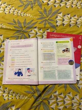 Lengua Castellana y Literatura, 4 Primaria, Moc...