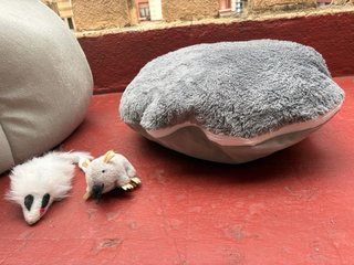 Cama para gato con cojín y juguetes.