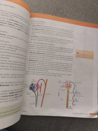 Biología y geología, 3.o ESO