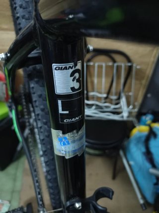 Bicicleta Giant de 29"
