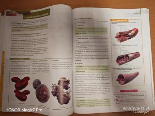Anatomía aplicada, 1 Bachillerato