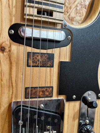 Guitarra Eléctrica Telecaster Semi-Acústica