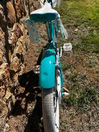 Bicicleta Niña Trek Mystic