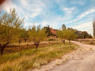Finaca rustica 340m2 con 51100m2 terreno