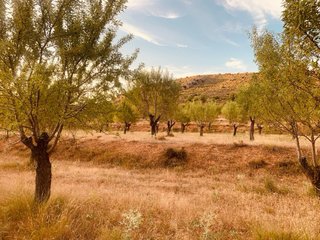 Finaca rustica 340m2 con 51100m2 terreno