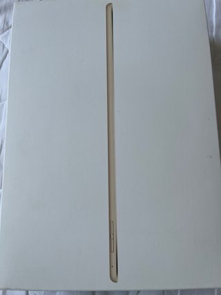 iPad Air 2 Dorado 4G todos los accesorios y funda