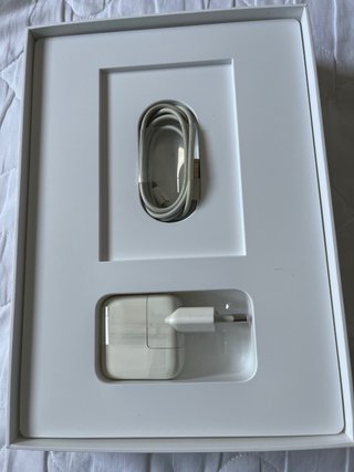 iPad Air 2 Dorado 4G todos los accesorios y funda