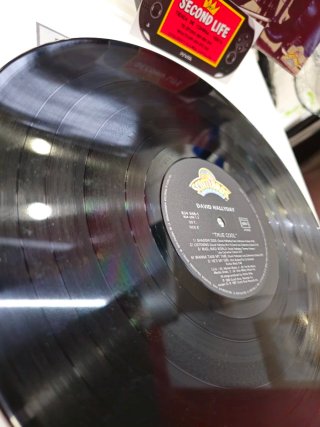 Vinilo David Hallyday - True Cool
