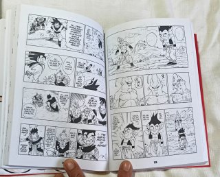 Bola de Drac Definitiva n° 33