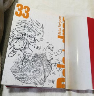 Bola de Drac Definitiva n° 33