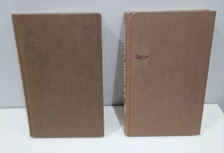 2 Novelas Agatha Christie