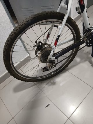 Bicicleta de adulto