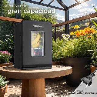 Mini nevera portátil 2 en 1 de frío-calor 27 x 31 x 41 cm negro