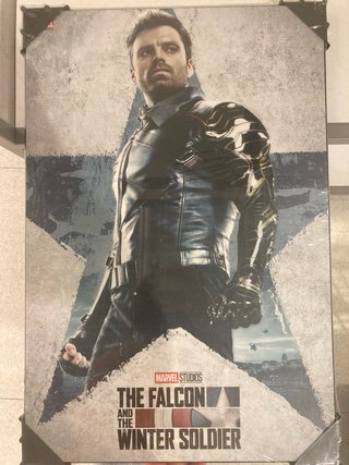Cuadro The Falcon and The Winter Soldier