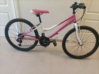 Bici JL-WENTI Niña 24 Rosa/Blanco